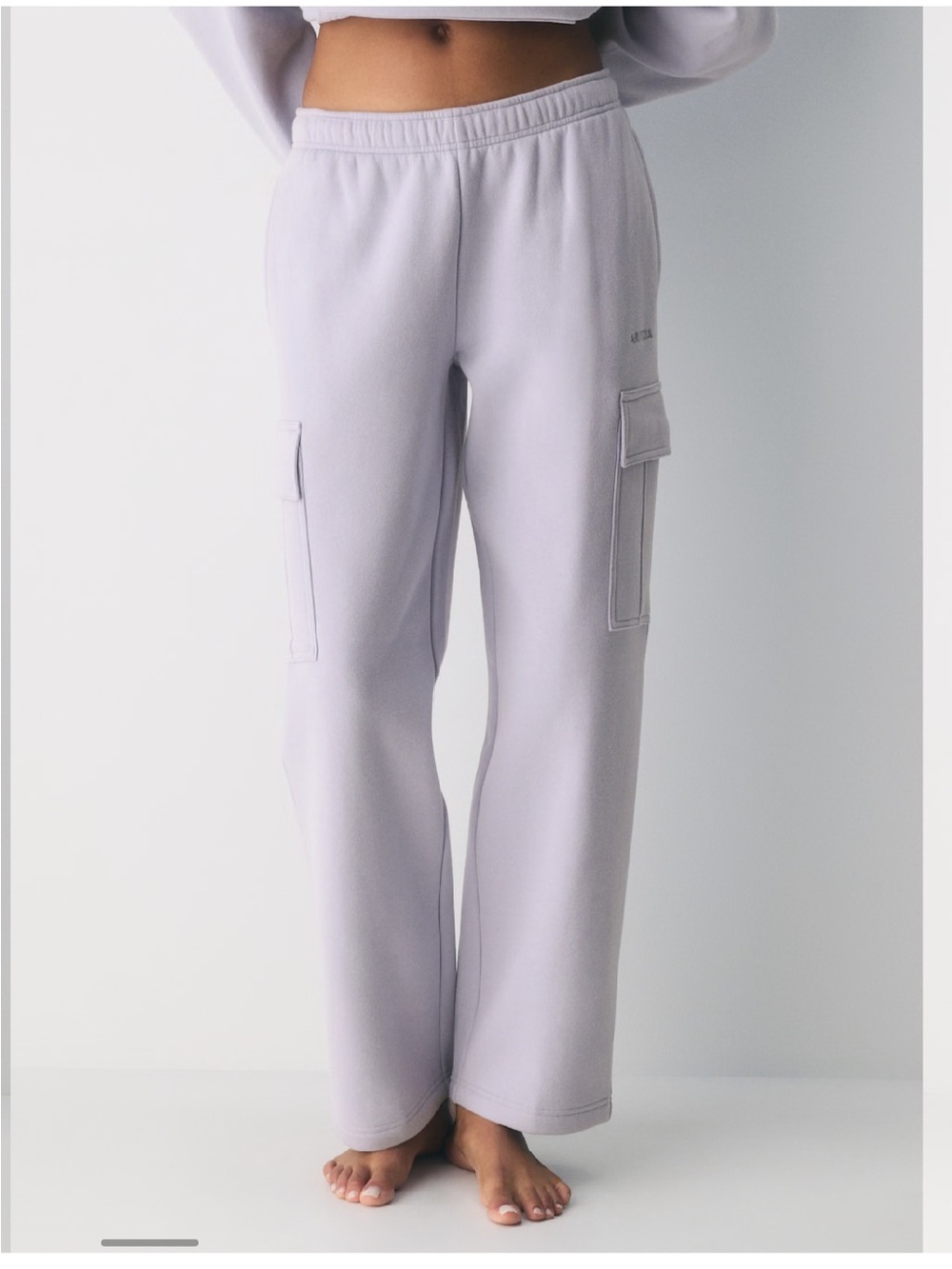 Aritzia Cozy Sweatfleece Mega Cargo™ Sweatpant in Lilac - Picture 2 of 14